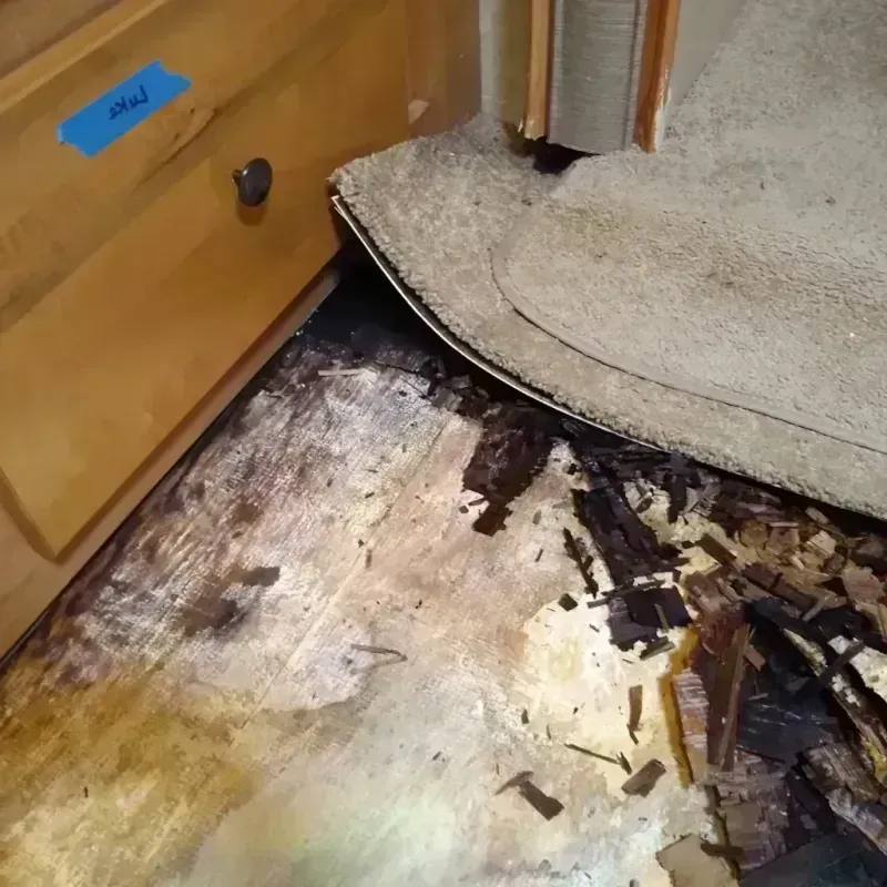 Wood Floor Water Damage in Summerfield, MD